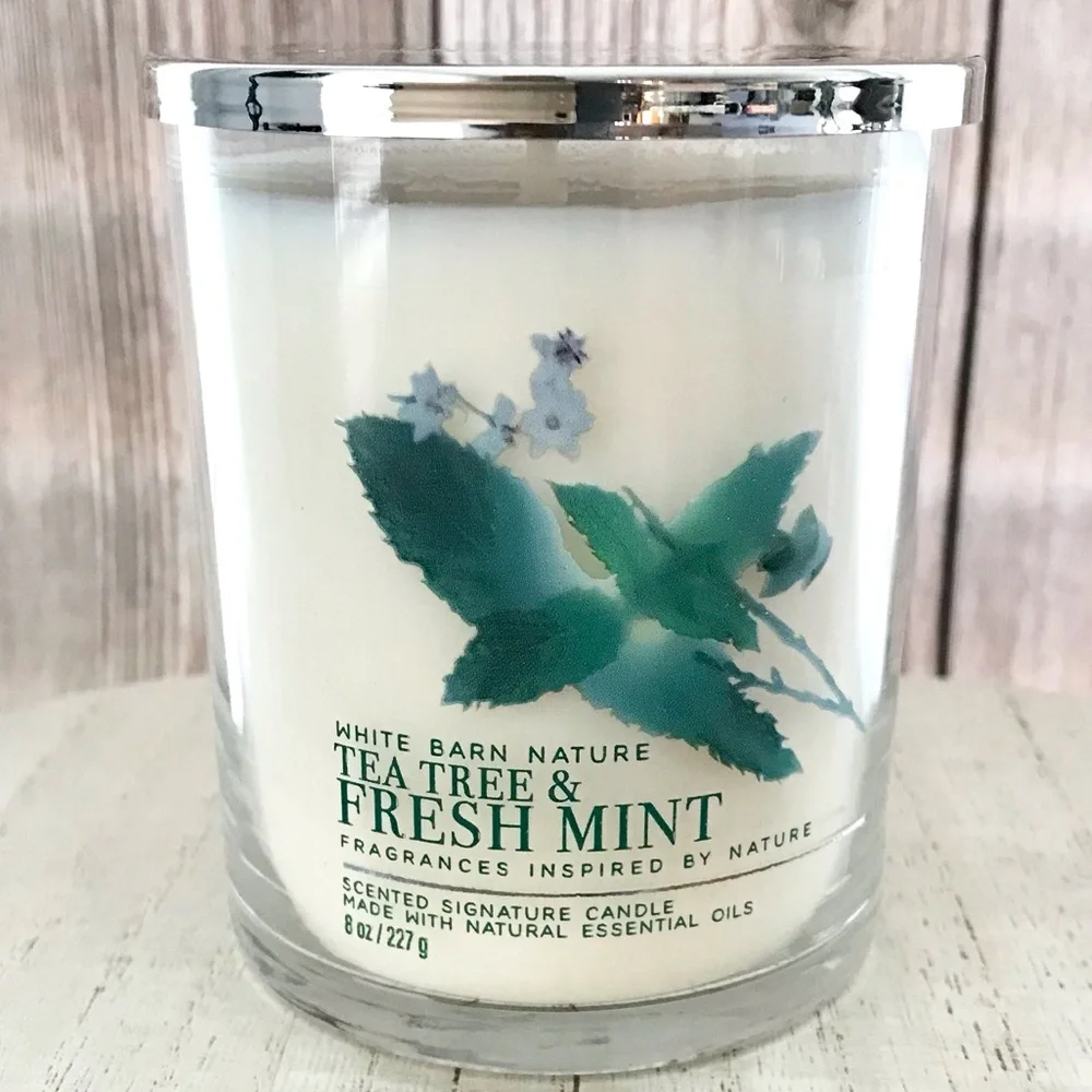 🆕30+ Hrs Tea Tree and Mint Single Wick Candle - Picture 2 of 4
